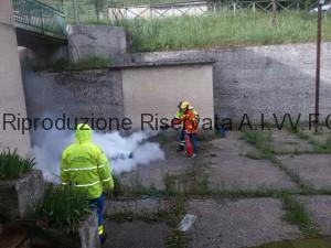 addestramento antincendio alessandria del carretto